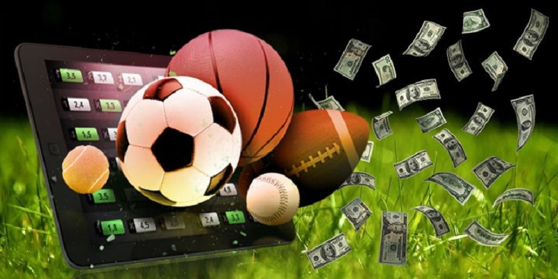 Sports PHJOY offers professional and fair betting halls