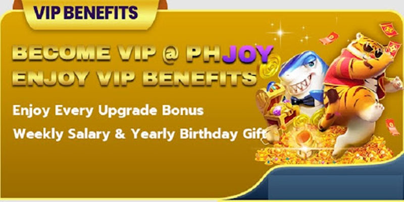 what-are-phjoy-vip-privileges-